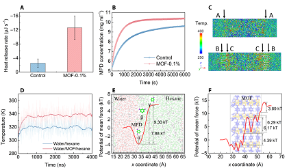 2022��13X���ӺY�S�Ҿ��г����x���� || ����MOF�Ƃ䳬��PA�{��Ĥ