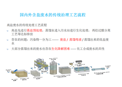 2022����������X��V�ϏS�����}���N�������g�����B�VҺ/RO��ˮ/MVRĸҺ�ṩһ�N�µĵ�̼��Q����