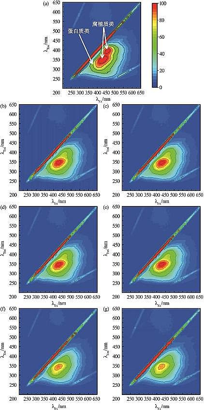 2022����������������MBBR�r��늻��W�������Ĥ�^�V���̎�������Uˮ��ˮ�о�