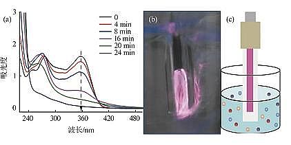 ���������c�����c̼Դ���a(ch��n)�S�Қ�Һ����x���w��ˮ���ĭh(hu��n)��ȥ�����C���о�