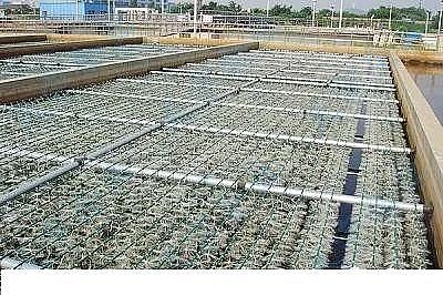 ��Ʒ�|(zh��)�������͚������S����ˮ�S���(bi��o)���RÓ�׳������}����ô����?�@���N����������!