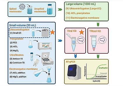 節(jié)能瓷球稀土瓷砂濾料生產廠家污水中新冠病毒檢測方法評估