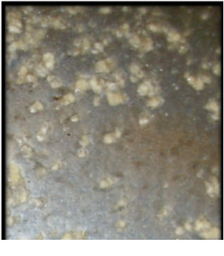 ȫ��3A���ӺY���a�S��ѭ�hˮϵ�y�е���\�����g����ָ��