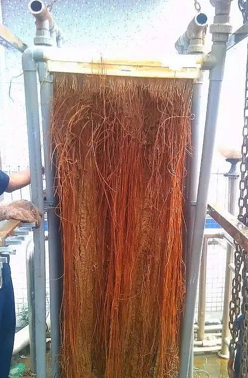 �������������X��V�ϏS���P��Ĥ��7���`�⼰�f��