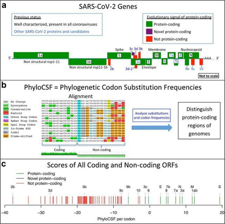 精良泡沫濾珠濾料生產廠家搜尋污水中的奧密克戎/Omicron病毒